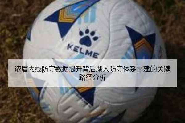 浓眉内线防守数据提升背后湖人防守体系重建的关键路径分析